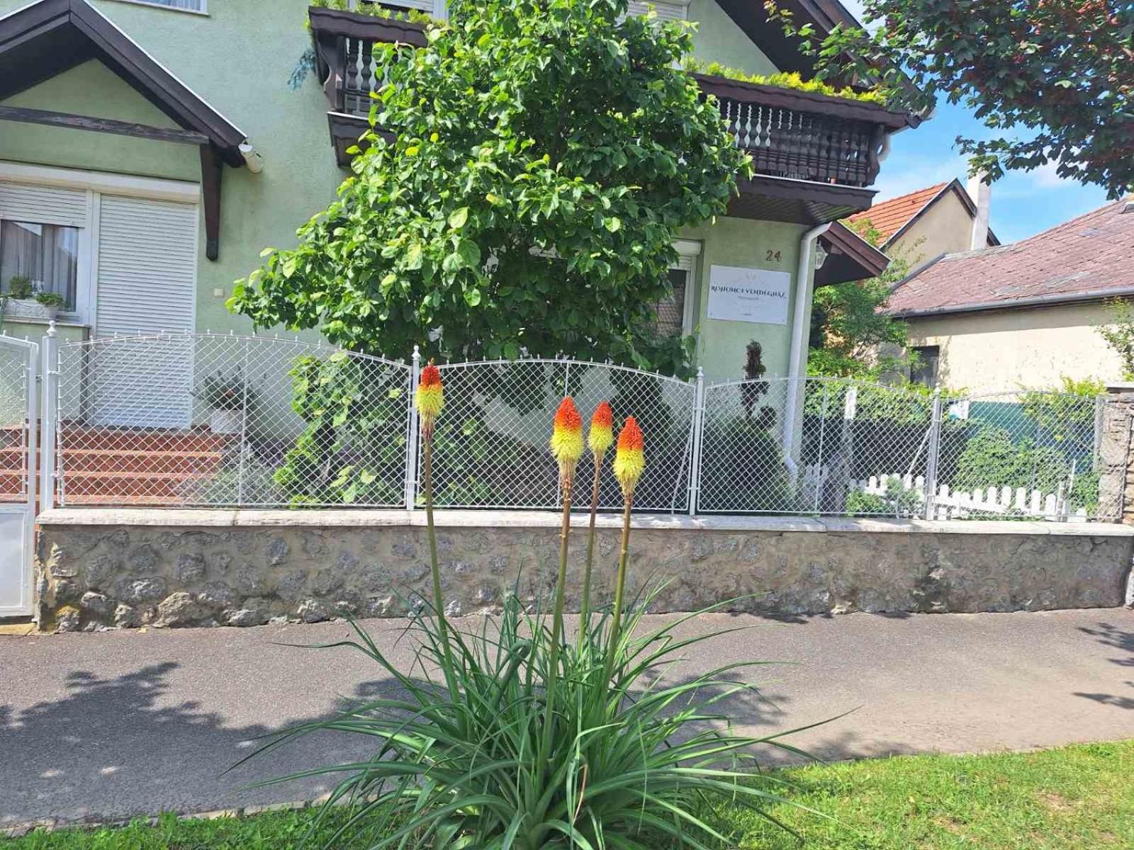 Rohonci Vendeghaz Hotel Kőszeg Buitenkant foto